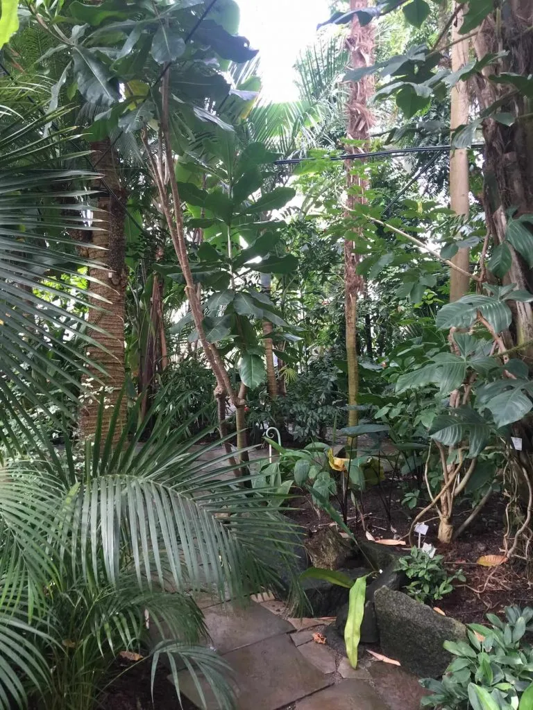 哥本哈根热带植物馆